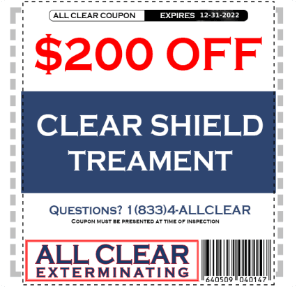 Best Price Around the word